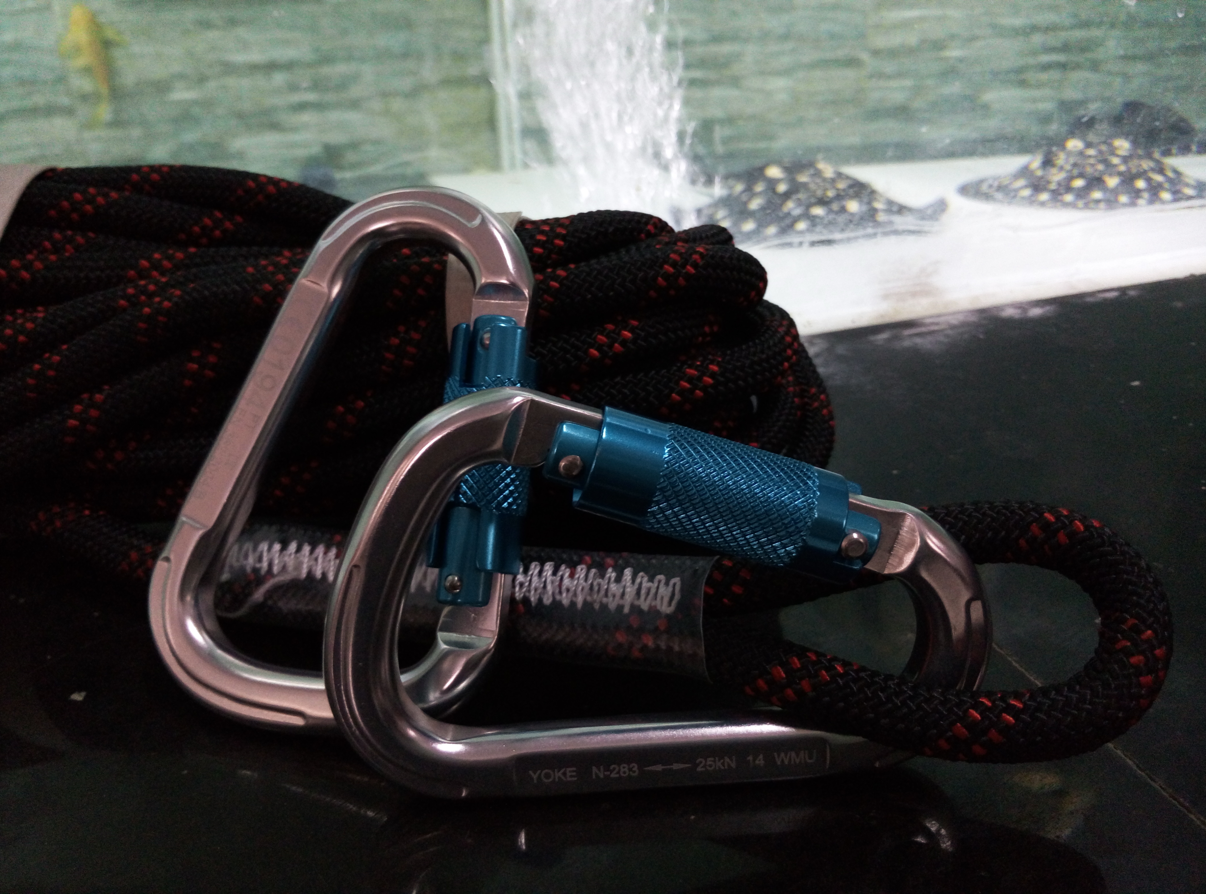 供應(yīng)用于登山攀巖的YOKE自動梨形主鎖 快掛 特價