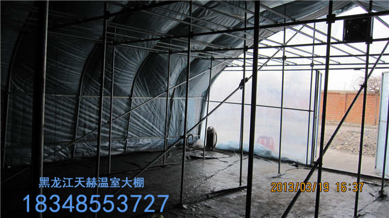 供應(yīng)用于溫室大棚的溫室秋茬茄子的嫁接栽培技術(shù)