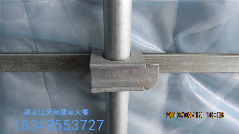 供應(yīng)用于溫室大棚的溫室秋茬茄子的嫁接栽培技術(shù)