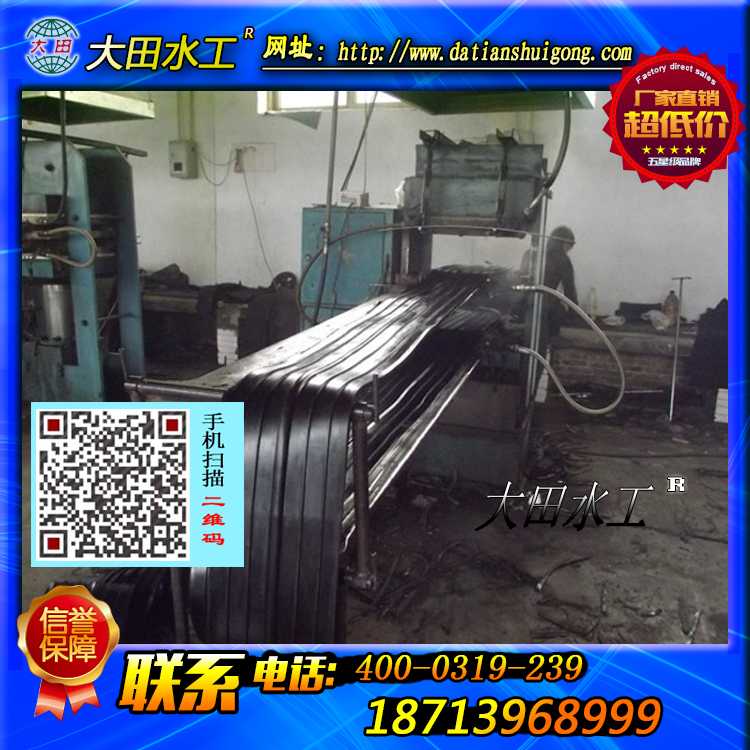 批發(fā)Ｐ型橡膠止水/Ｐ型閘門水封/大頭橡皮/Ｌ型閘門側止水/鋼邊橡膠止水帶*價格