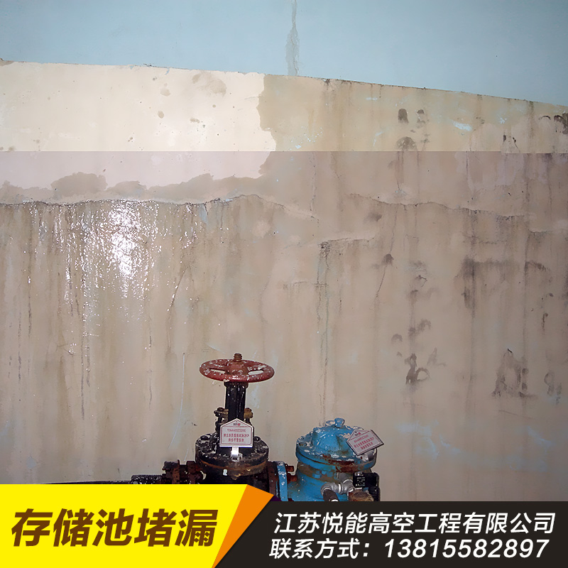 供應(yīng)存儲(chǔ)池堵漏 存儲(chǔ)池堵漏價(jià)格 存儲(chǔ)池堵漏廠家 存儲(chǔ)池堵漏維修