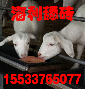 供應(yīng)滄州海利糖蜜型牛羊舔磚/價格/廠家/代理