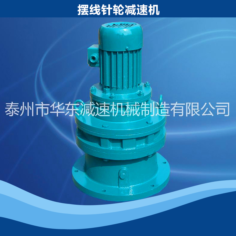浙江擺線針輪減速機(jī)型號(hào)、價(jià)格、廠家直銷【泰州市華東減速機(jī)械制造有限公司】
