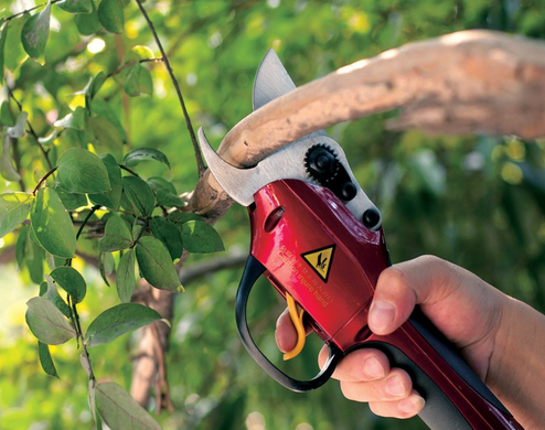 供應電動*/電動修枝剪/價格