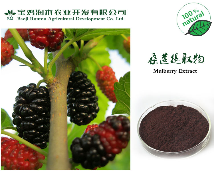 桑葚花青素5% * 藥食同源 現(xiàn)貨供應(yīng) 可壓片 制粒