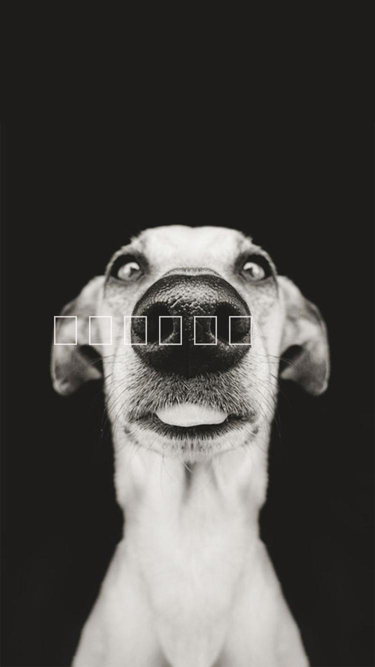 供應(yīng)用于螺絲的北京大螺絲-測(cè)試