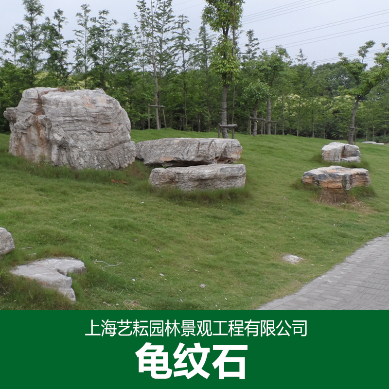 專業(yè)供應(yīng)龜紋石 景觀石 園林景觀石 假山設(shè)計施工