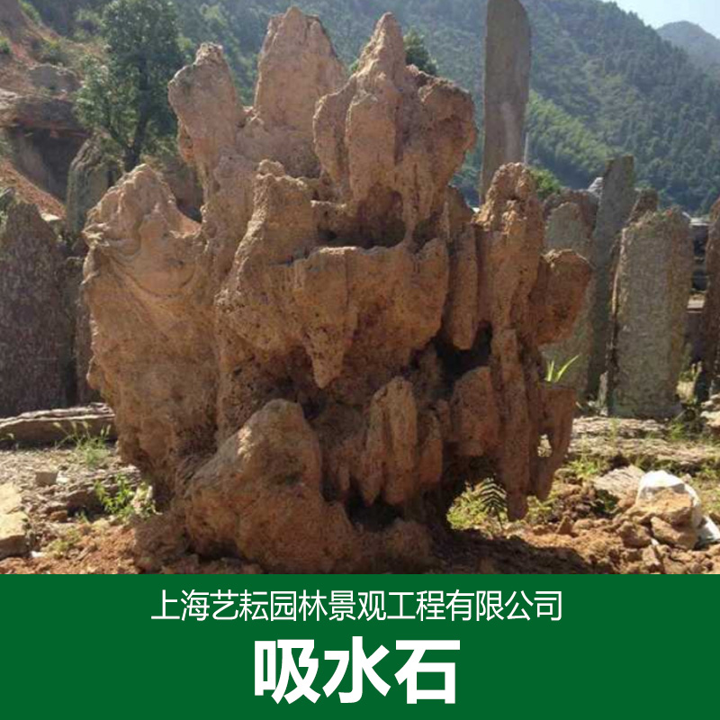 供應吸水石園林景觀石 吸水石假山專業(yè)制作
