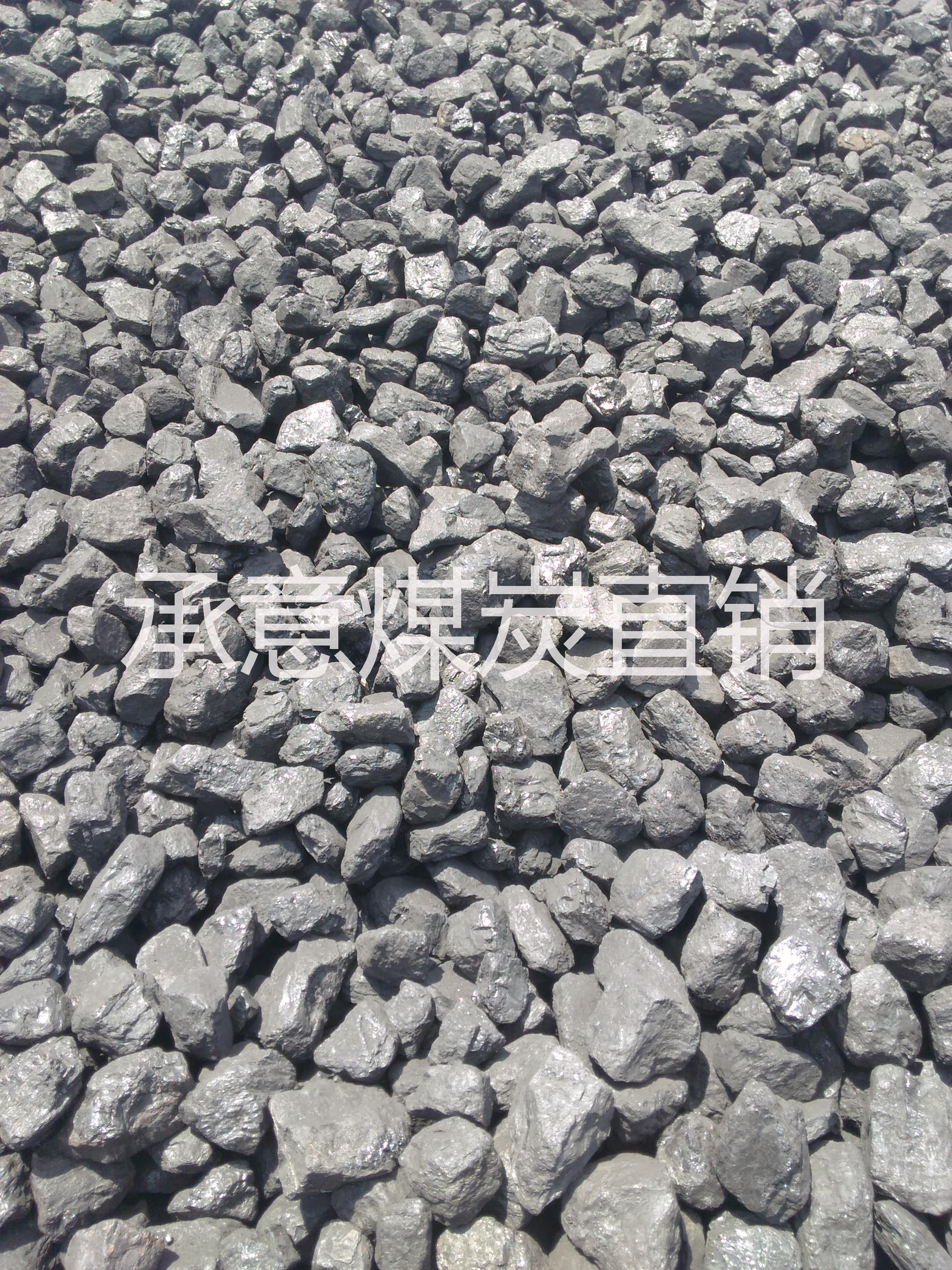 供應(yīng)52氣化煤