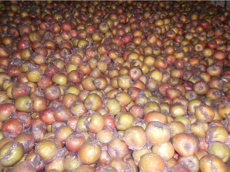 供應(yīng)用于銷(xiāo)售的碭山縣葛集鎮(zhèn)紅富士蘋(píng)果批發(fā)