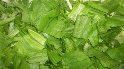 供應(yīng)多功能洗菜機臭氧消毒洗菜機渦流洗菜機九盈洗菜機多功能蔬菜清洗機洗菜機廠家洗菜機價格鼓泡式洗菜機