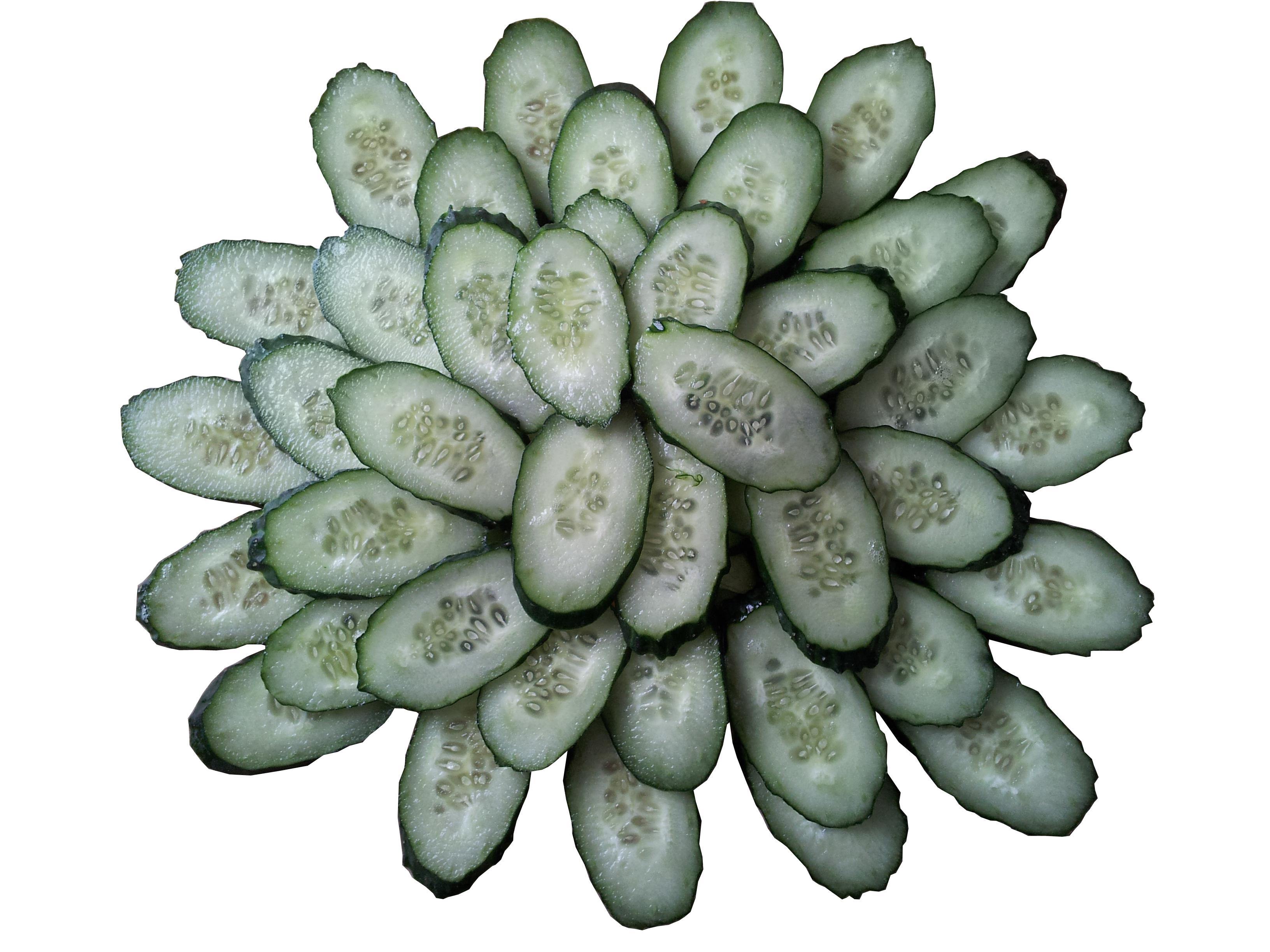 供應(yīng)切絲切片切丁機(jī)速切丁機(jī)，帶骨切丁機(jī)，蘋果切丁機(jī)，球莖類切丁機(jī)切土豆丁機(jī)洋蔥切丁機(jī)蘿卜切丁機(jī)芋頭切大丁機(jī)