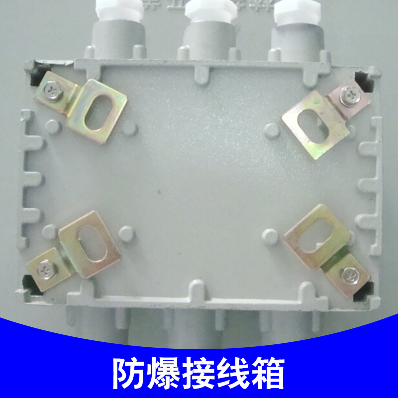 供應(yīng)浙江防爆接線箱廠家 BJX51-36/20防爆接線箱 銷售熱線增安型防爆接線箱 防爆分線箱