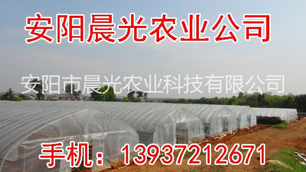 供應(yīng)溫室蔬菜大棚骨架機(jī)，蔬菜大棚價(jià)格