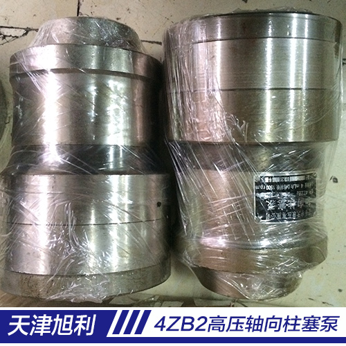 供應(yīng)4ZZB2高*向柱塞泵廠家供應(yīng)軸向柱塞泵優(yōu)質(zhì)供應(yīng)