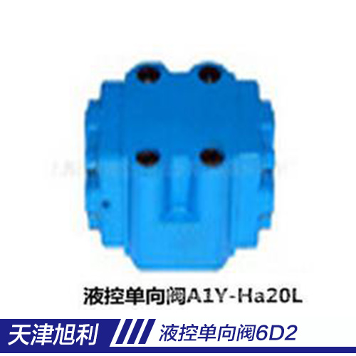 供應(yīng)寧晉液控單向閥6D2天津供應(yīng)商-中天液控單向閥8D2a天津供應(yīng)商-*液控單向閥4D2天津生產(chǎn)廠家