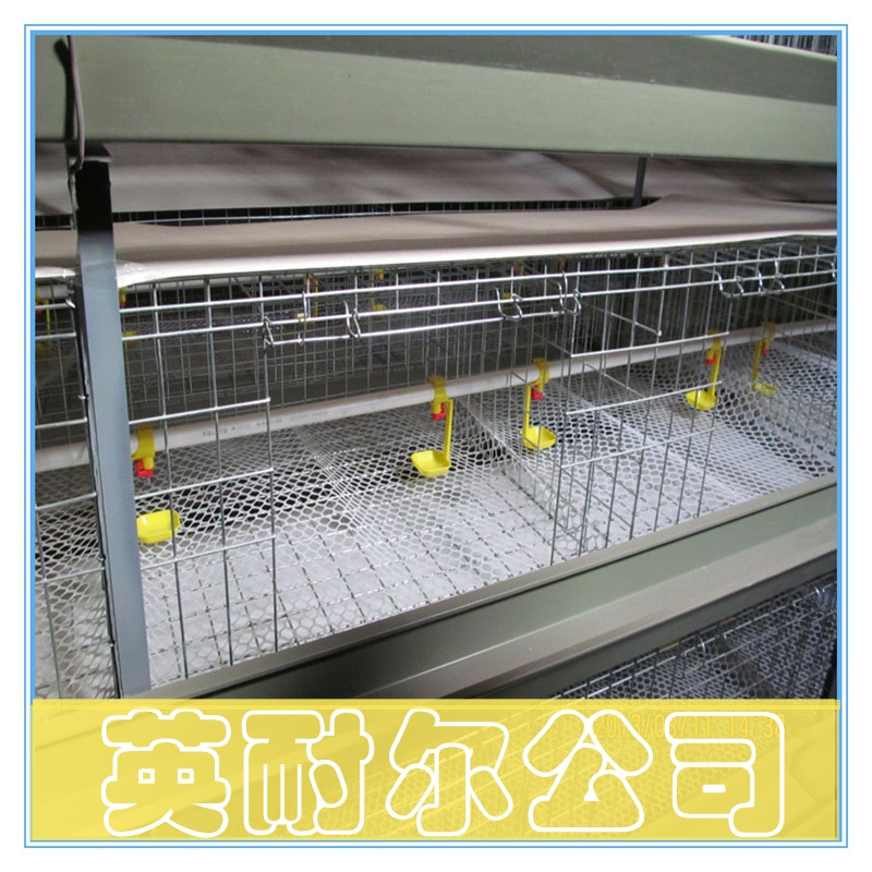 不生銹的肉雞籠|各種肉雞籠|英耐爾雞籠