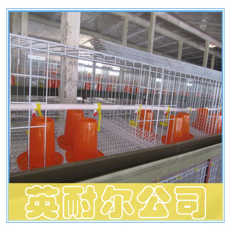 不生銹的肉雞籠|各種肉雞籠|英耐爾雞籠