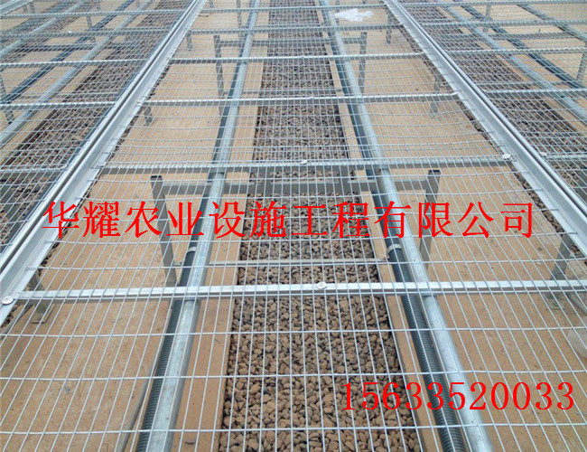 苗床網(wǎng) 供應(yīng)苗床網(wǎng)價格 熱鍍鋅苗床網(wǎng)廠家  熱鍍鋅苗床網(wǎng)價格