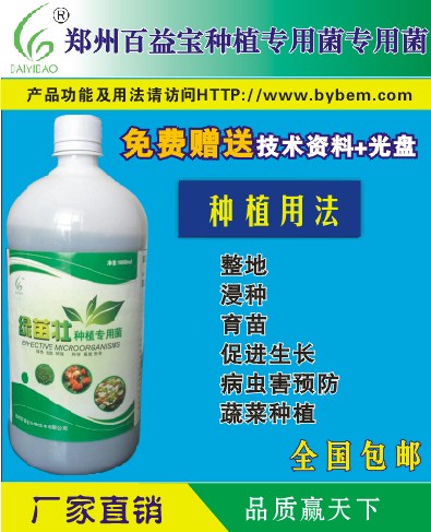 巧培土姜穩(wěn)獲高產(chǎn)/綠苗壯肥料種植*菌