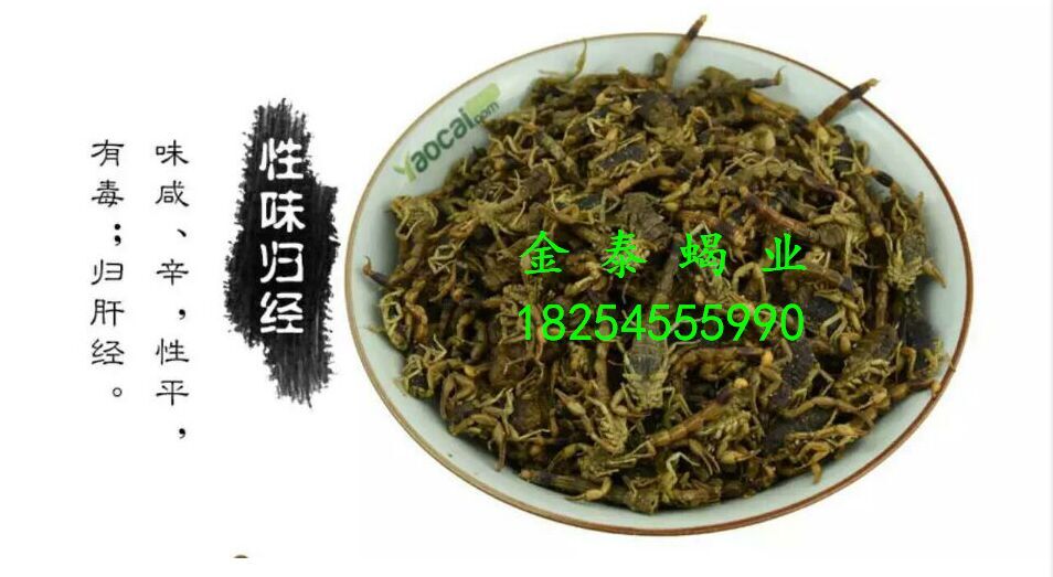 金泰蝎業(yè)供應(yīng)清水干*，聯(lián)系電話18254555990