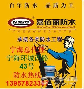 供應(yīng)寧海防水堵漏 嘉佰麗防水