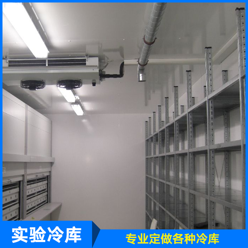 供應(yīng)廠家直銷生產(chǎn)定制制冷設(shè)備保鮮庫實驗冷庫