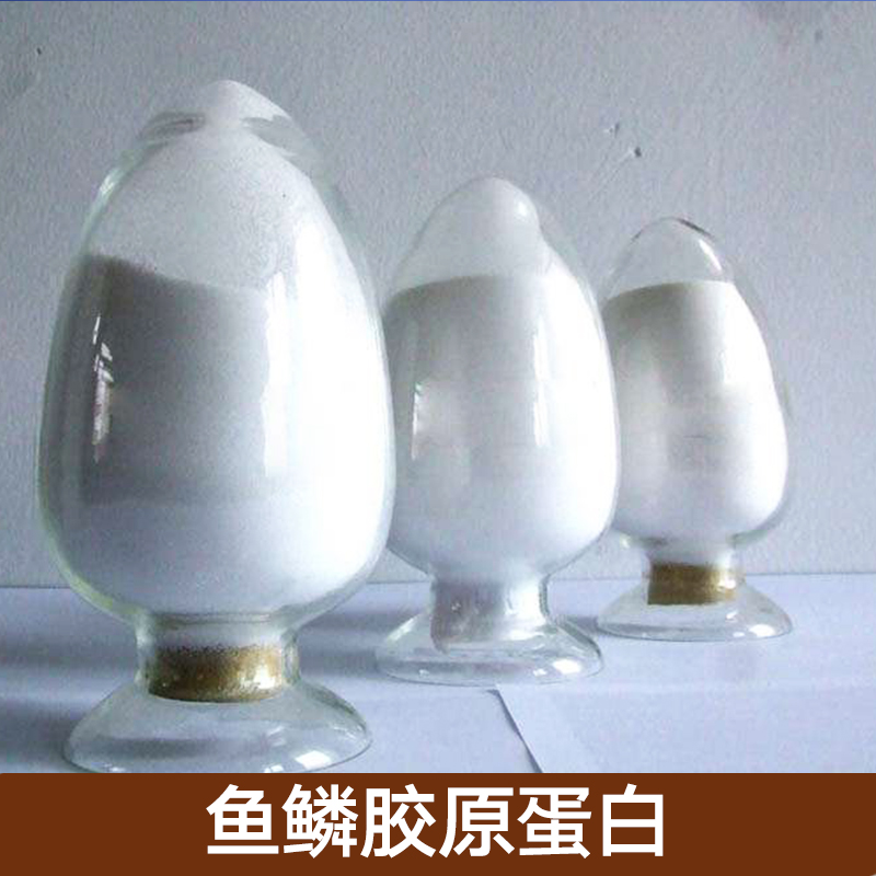 供應(yīng) 中食都慶牌一級淡水魚魚鱗膠原肽-生產(chǎn)商-供應(yīng)商-批發(fā)商