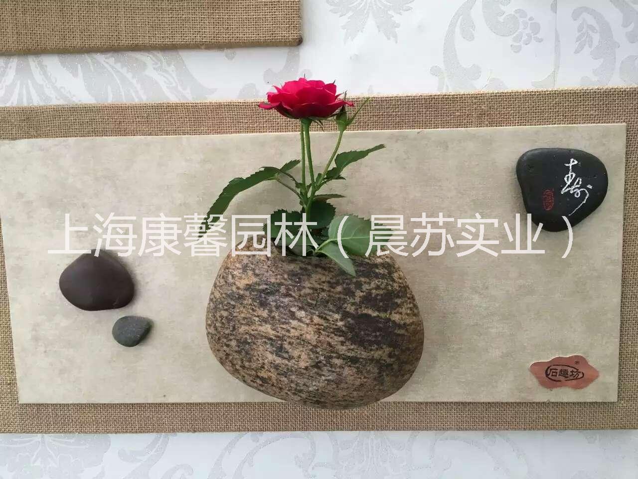 供應(yīng)創(chuàng)意壁掛式辦公室植物，上海哪里有創(chuàng)意壁掛式辦公室植物租賃，上海創(chuàng)意壁掛式辦公室植物出租