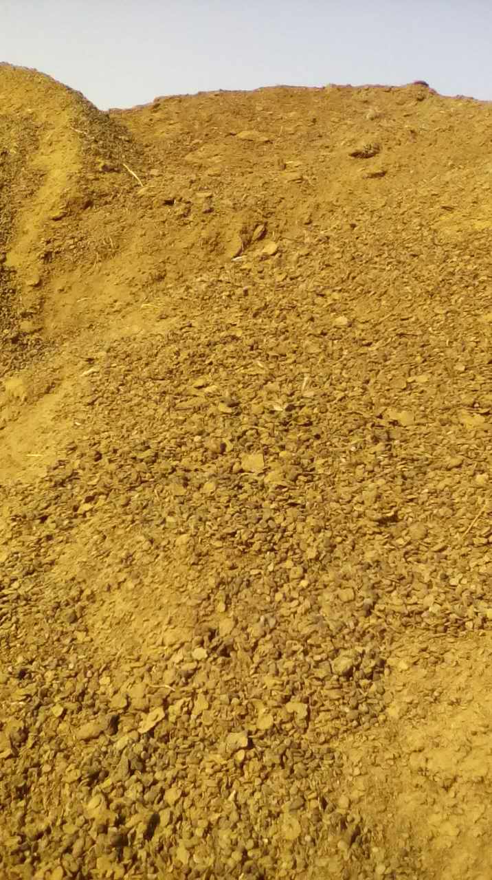 內(nèi)蒙古跨世紀原羊糞