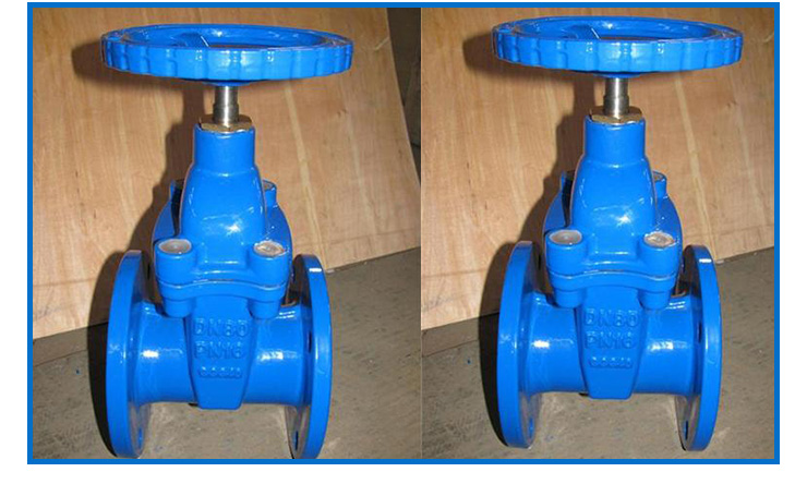 供應(yīng)法蘭彈性座封閘閥