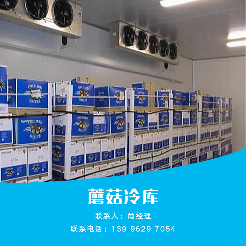供應蘑菇冷庫 蘑菇冷庫批發(fā) 蘑菇冷庫供應 蘑菇冷庫價格