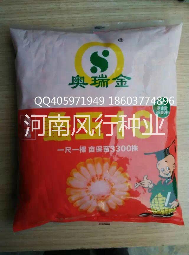 供應(yīng)剛才穩(wěn)產(chǎn)根系發(fā)達(dá)玉米種子蠡玉16
