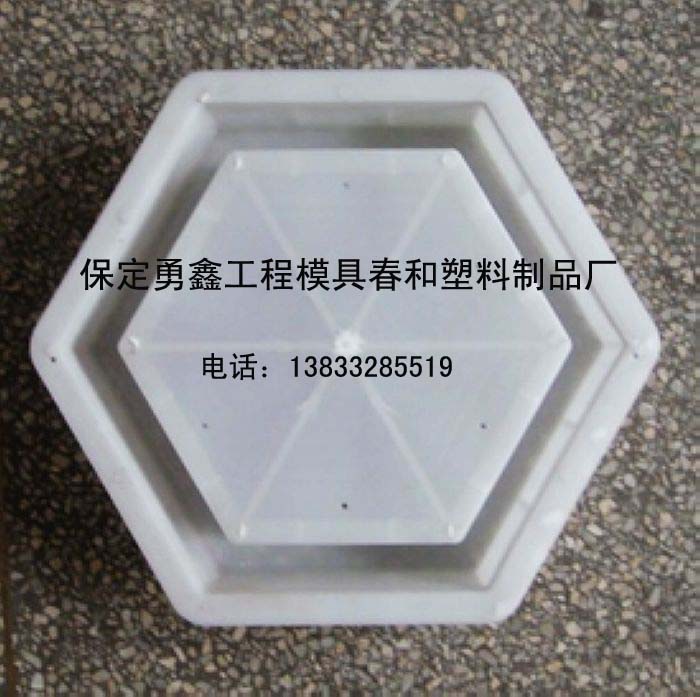 供應(yīng)混凝土六角護(hù)坡塑料模具