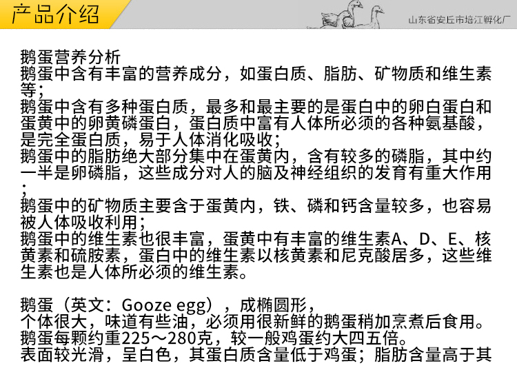 農家鵝蛋批發(fā)價格， 鵝蛋的功效與作用 濰坊鵝蛋報價