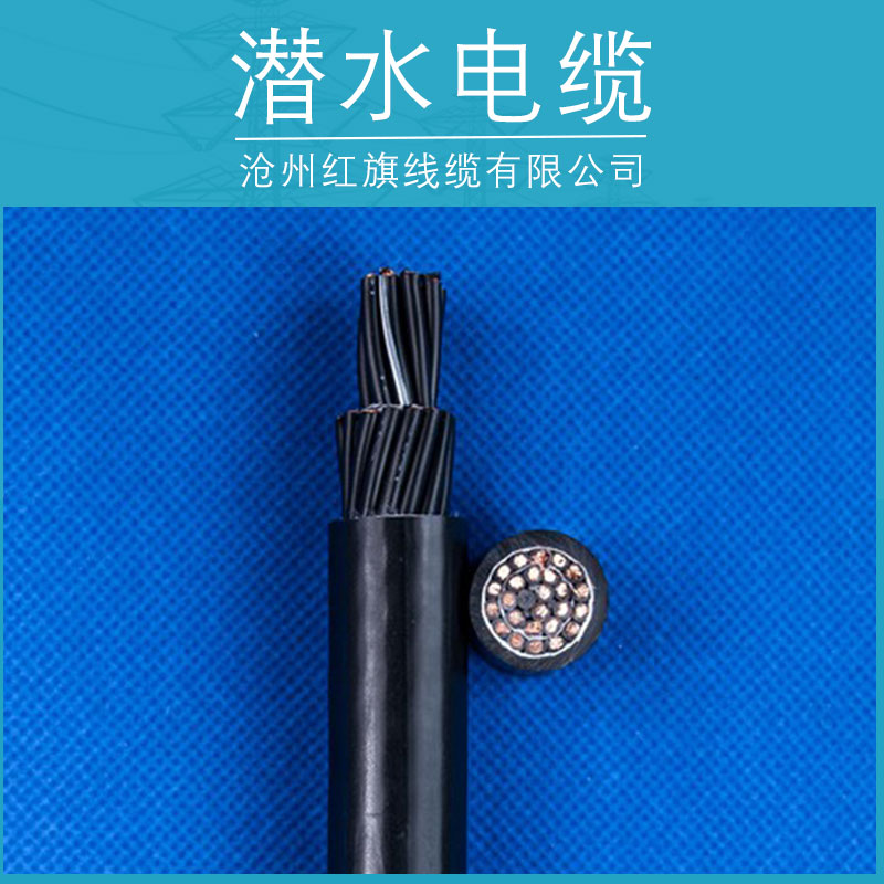供應(yīng)潛水電纜 電線電纜批發(fā) 阻燃電纜 特種電纜廠家報(bào)價(jià)