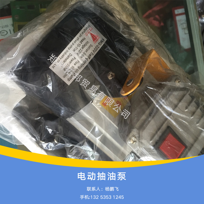供應220V手提電動抽油泵報價電動試壓泵專業(yè)標準手提電動抽油泵
