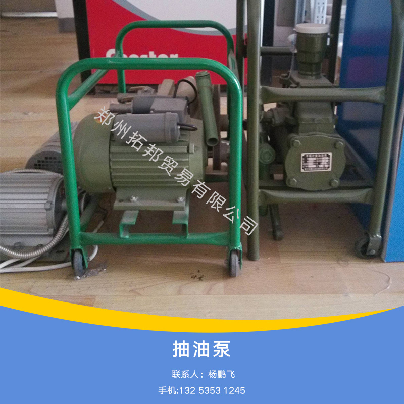 供應(yīng)工業(yè)電動抽油泵標(biāo)準(zhǔn)齒輪泵報價手動抽油泵標(biāo)準(zhǔn)抽油泵