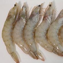 供應(yīng)供應(yīng)南海北部灣肥美大閘蟹/大蝦/北部灣特產(chǎn)/肉多肥美/個(gè)頭大