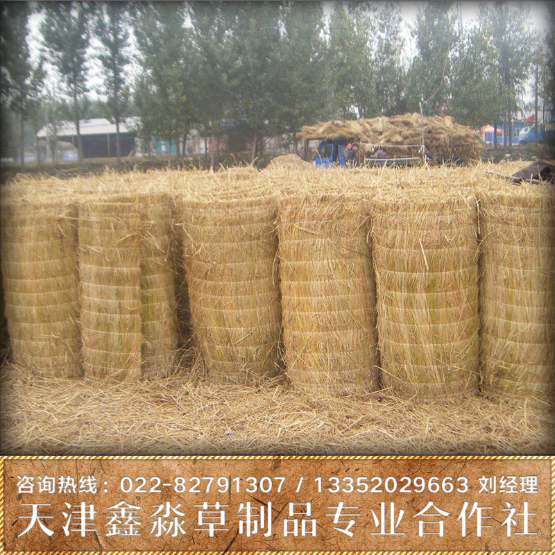 供應(yīng)草簾批發(fā)商 水果運(yùn)輸保護(hù)草簾 蔬菜運(yùn)輸保護(hù)草簾 草簾報價