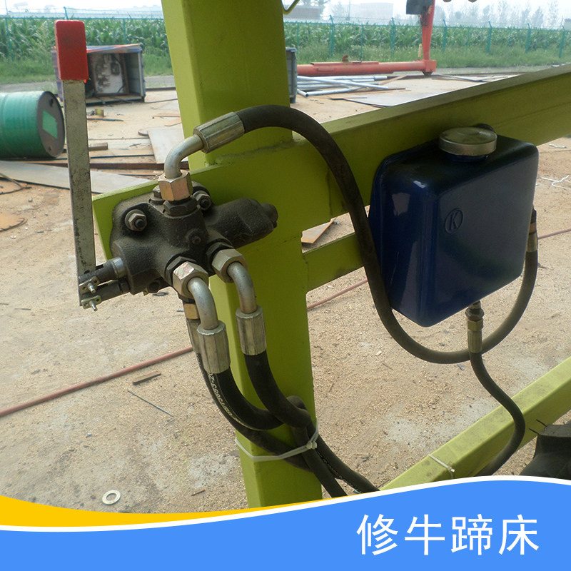 設(shè)備銷(xiāo)售供應(yīng)修牛蹄床、液壓修牛蹄床|翻轉(zhuǎn)式修牛蹄床、多功能牛蹄床