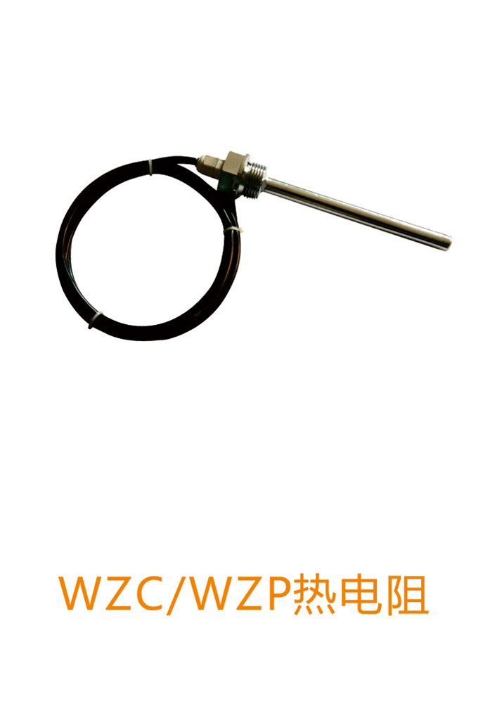 供應(yīng)WZC/WZP熱電阻