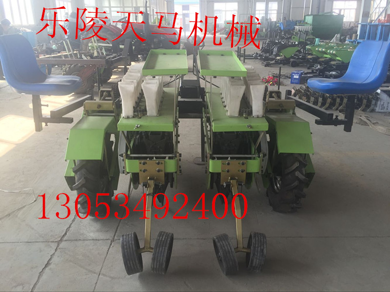 供應天馬供應茄子移栽機廠家*出售,