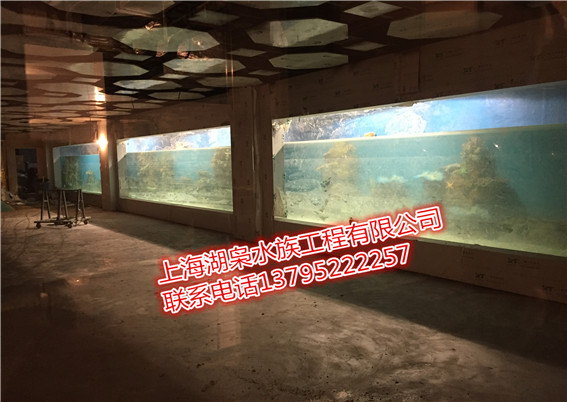 大型魚缸定做生產(chǎn)廠家、大型魚缸定做供應(yīng)商、大型魚缸定做公司的聯(lián)系方式,