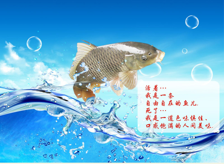 供應(yīng)用于采魚肉去魚刺的魚肉采肉機魚刺分離設(shè)備蝦殼分離機