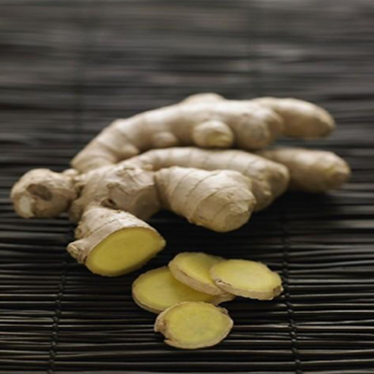 廠家現(xiàn)貨供應(yīng)生姜提取物姜辣素5% 陜西中鑫生物