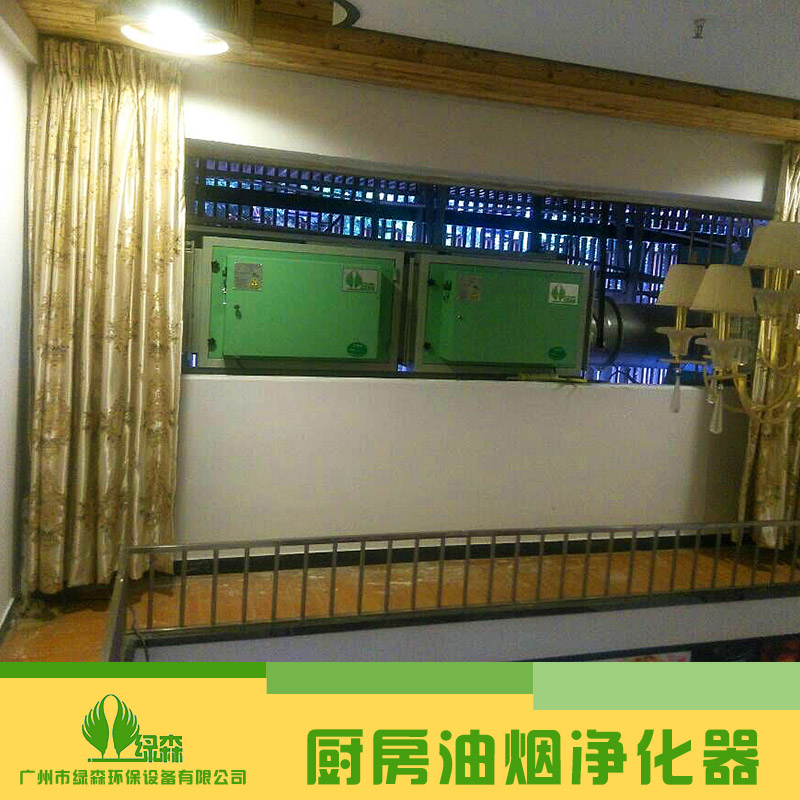 供應(yīng)廚房油煙凈化器 高空排放型油煙凈化器 工業(yè)靜電油煙凈化器