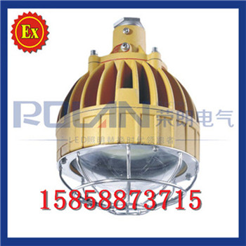 供應(yīng)RLB104免維護(hù)LED防爆燈/溫州LED防爆燈/LED防爆燈報價/LED防爆燈
