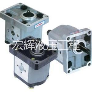 廠家直銷批發(fā)齒輪泵CBN-F306