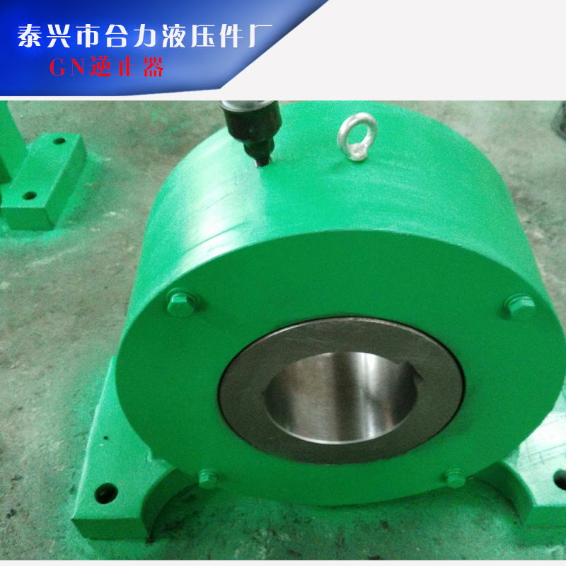 泰興合力液壓件廠供應用于減速機的GN逆止器、滾柱式逆止器|超越離合器